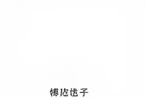 体育馆里叠放的排球队服与号码布